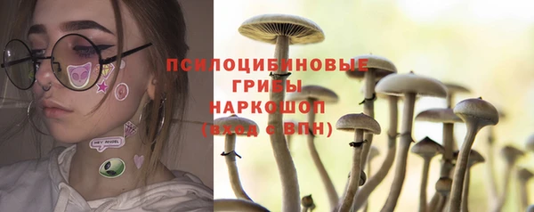 прущая мука Верхний Тагил
