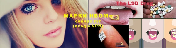 спайс Верея