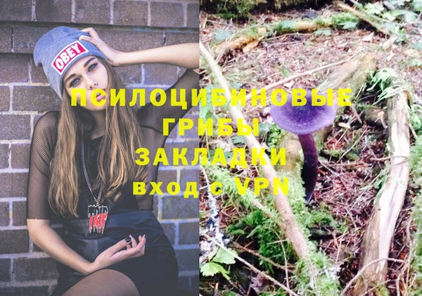 прущая мука Верхний Тагил