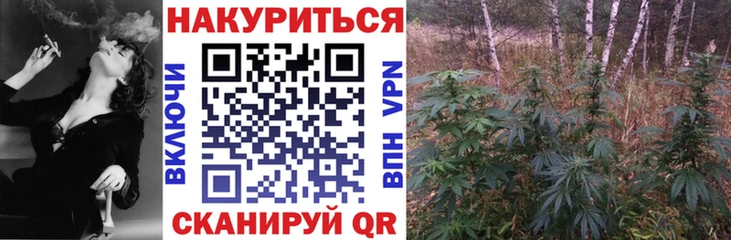 Каннабис Bruce Banner Северобайкальск